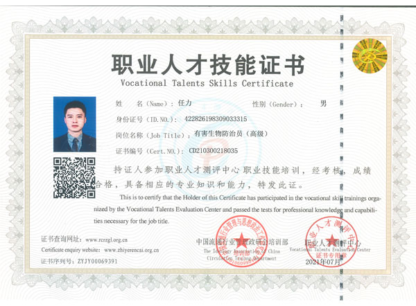 職業人才技能證書