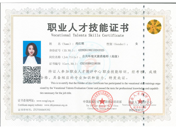 職業人才技能證書
